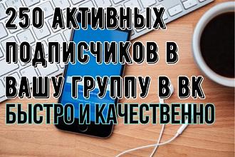 Привлеку в вашу группу в вк 250 подписчиков
