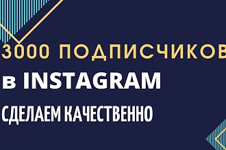 3000 подписчиков на инстаграм