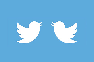 1700 подписчиков в ваш аккаунт Twitter