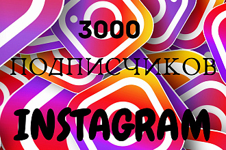 3000 подписчиков инстаграм