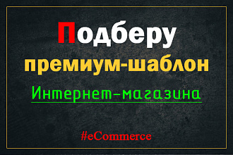 Подберу Премиум Шаблон для Магазина на WordPress, с учетом тематики
