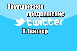 Комплексное продвижение Twitter