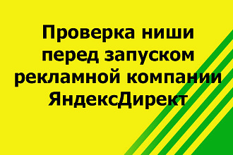 Проверю вашу нишу бизнеса на пригодность для рекламы в ЯндексДирект