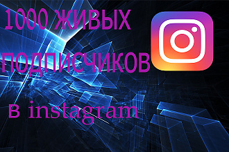 1000+ живых подписчиков на профиль Instagram
