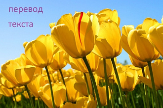 Переводы различных текстов