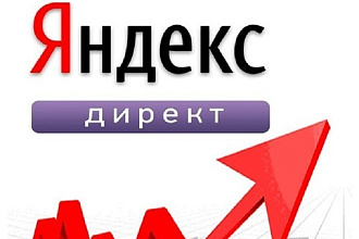 Профессиональная настройка Яндекс Директ. Поиск, РСЯ