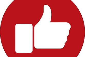 Добавлю 2 000 подписчиков в Instagram