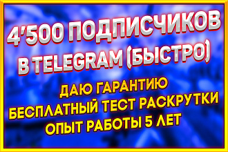 4500 RU подписчиков в канал, чат. Быстро и качественно