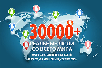 30000 посещений реальными людьми в течение 30 дней