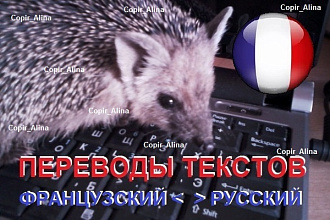 Перевод текстов с французского на русский и с русского на французский