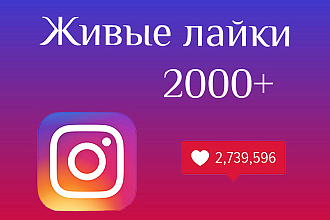 2000 лайков в Instagram. Живые исполнители. Лайки в инстаграме