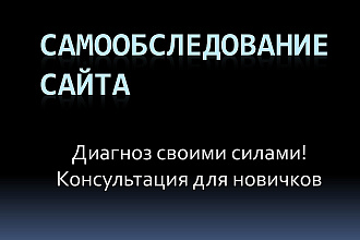 Консультация по самообследованию собственного сайта