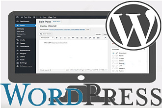 Создание сайта на wordpress