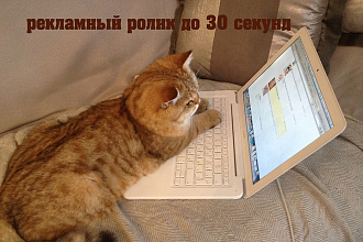 Создам ролик до 30 секунд