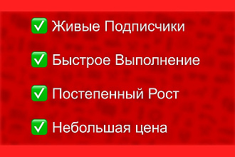 Живые Подписчики На Ваш YouTube канал 300 шт
