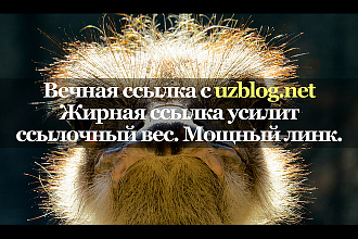 Уникальная ссылка с сайта uzblog.net