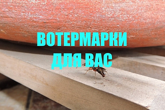 Массовое проставление водяных знаков на фото watermarks
