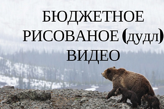 Бюджетное рекламное рисованное doodle видео