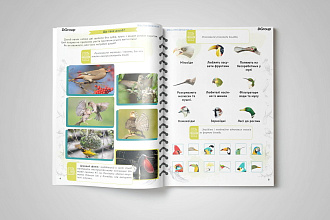 Верстка, макет в InDesign