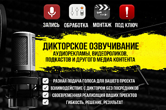 Озвучивание аудиорекламы, видеороликов, промороликов, медиа контент