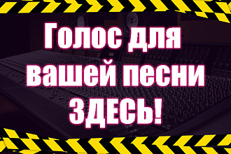 Голос для вашей песни