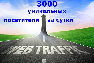 3000 уникальных посетителей на Ваш сайт за сутки