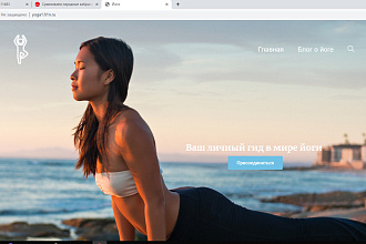 Создам landing page на wordpress