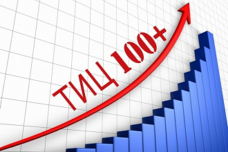 Размещение вечных трастовых ссылок с тИЦ от 10. Прогонка сайта
