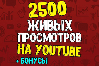 2500 живых просмотров на Youtube