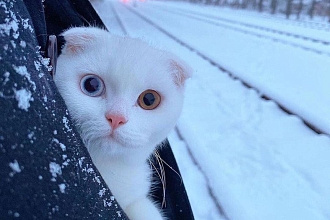 Удаление фона на фотографиях