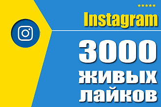 3000 лайков Instagram