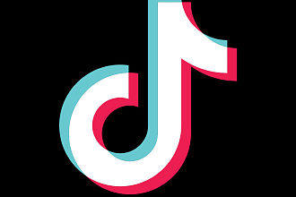 Добавлю 1000 подписчиков в Tik-tok