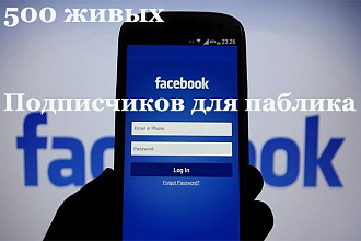 500 вступивших в Fanpage. Лайки на паблик Facebook. Россия и СНГ