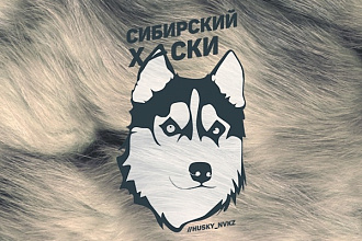 Качественный профессиональный логотип