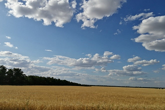TOP перевод
