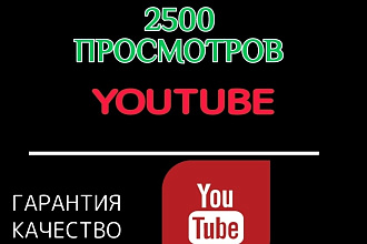 Продвижение в YouTube. 2500 просмотров