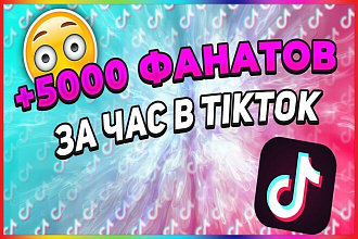 Привлеку любое количество подписчиков в Tik Tok