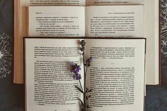 Переведу текст