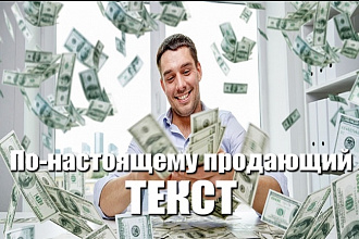 Продающие тексты для сайтов различной тематики