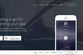Landing page - только качество