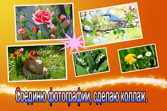 Соединю фотографии или сделаю из них коллаж