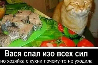 Фото - картинки вашей комнаты, квартиры, дома по чертежам