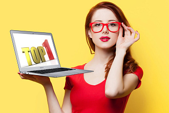 Продвижение ПФ трафиком в выдачи Yandex