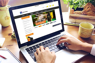 Создание продающего интернет-магазина