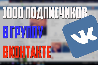 Предоставлю 1000 подписчиков в Вконтакте