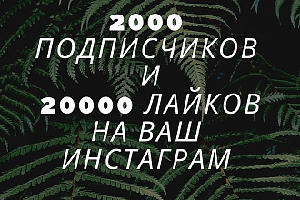 2000 подписчиков, либо 20000 на Ваш аккаунт в инстаграм