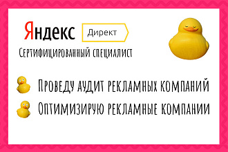 Яндекс Директ проведу аудит рекламных компаний