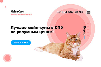 Дизайн лендинга