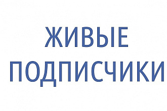 550 живых подписчиков на ютуб канал