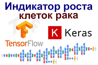 Нейросеть - индикатор роста клеток рака